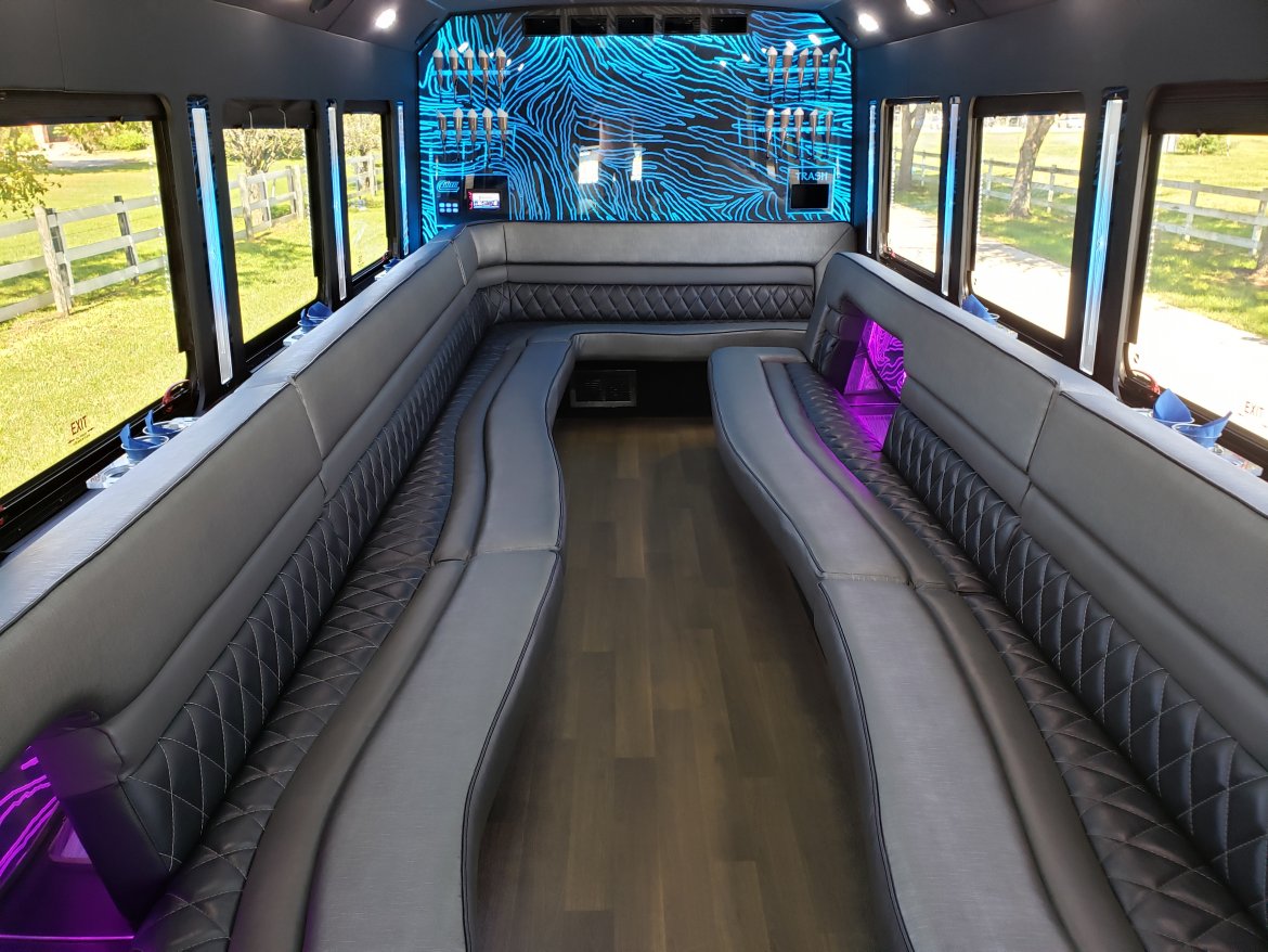 Long Island Bus - 25 Person Party Bus - Party Bus Long Island, NY